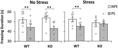 NrCAM-deficient mice exposed to chronic stress exhibit disrupted latent inhibition, a hallmark of schizophrenia